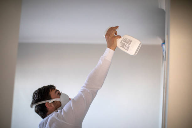 Best Fast Mold Removal  in Hayti, MO