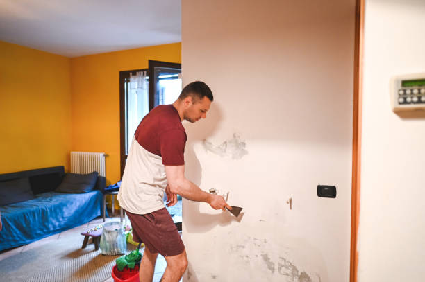Best Attic Mold Removal  in Hayti, MO